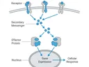 Nature-style scientific figure as an alternative to manual illustration